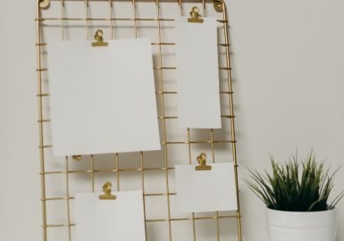 STF derruba regras do DF sobre divulgação de atos de autoridades públicas