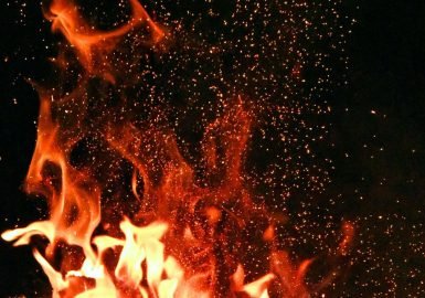 Partidos pedem adoção de medidas urgentes contra possíveis queimadas no Pantanal