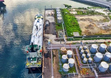 Rede pede suspensão da 17ª rodada de licitações para exploração e produção de petróleo e gás natural